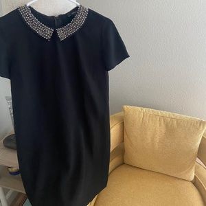 Collared T-shirt Dress